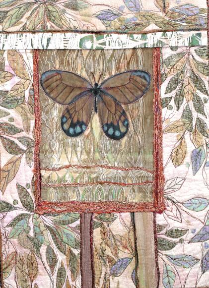 Butterfly 1
